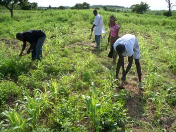 1 Annee en 2 sarcla#106EB93